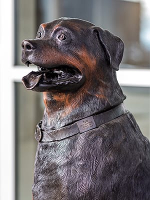 a bronze dog statue in front of a building contruction site
