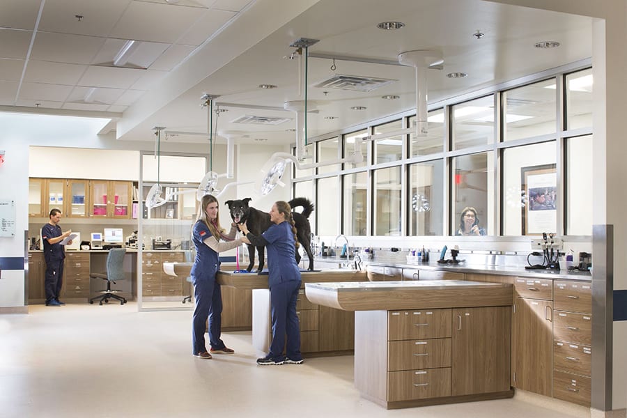 meridian specializes in animal hospital construction