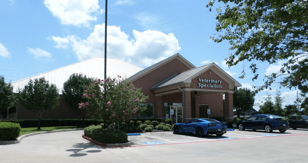 sugar land veterinary specialists and 24 hour emergency care